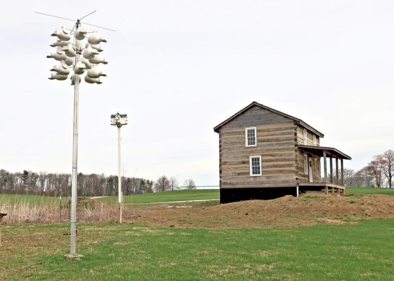 Purple martin presentation at ACHS