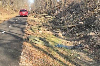 Rails-to-Trails volunteers clear trees; wood available