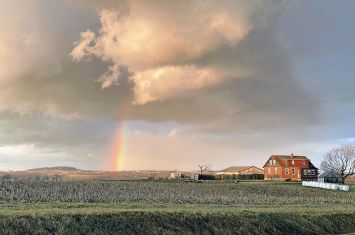 Rainbow of Hope remains committed to helping children, families