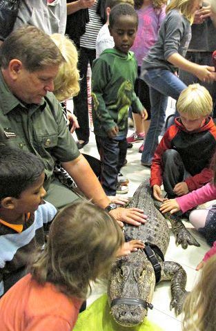 Rainforest Reptiles return to Performing Arts Center