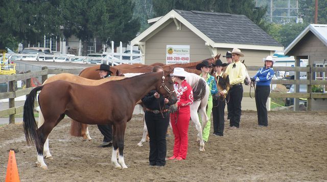 Ride em cowgirl – and cowboy: Western Horse Show produces sibling winners