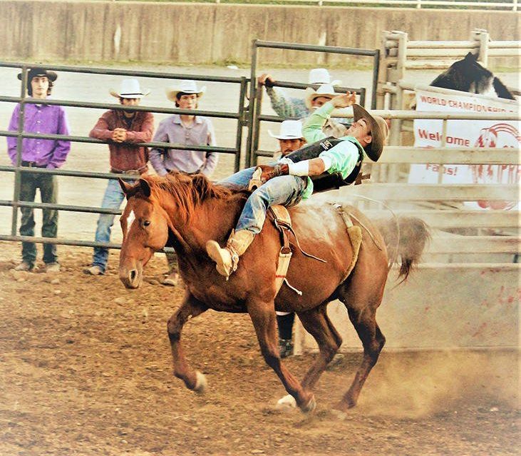 Rodeo returns to the fair