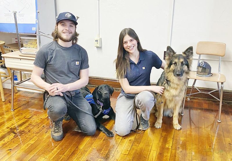 Rogue dogs — canine work that makes scents