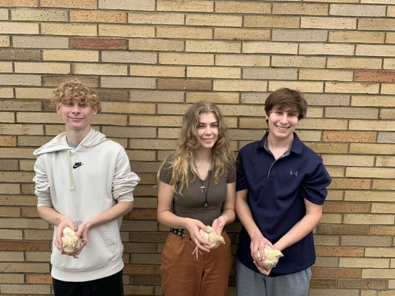 Sandy Valley FFA raise their chickens at school