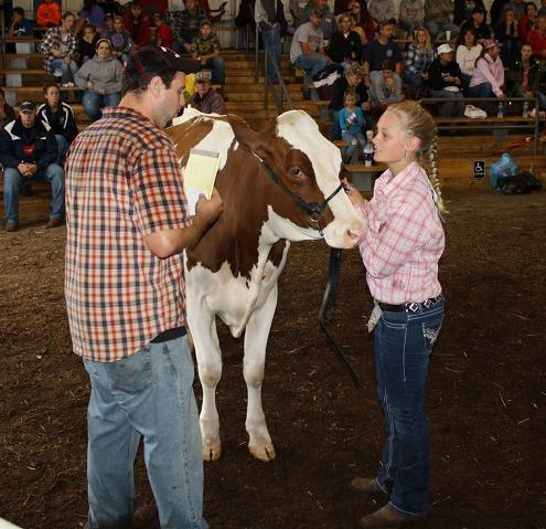 Saturday Small Animal Sale Earns $57,350