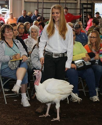 Saturday Small Animal Sale Earns $57,350