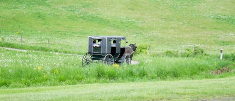 SCHS to visit Yoder's Farm