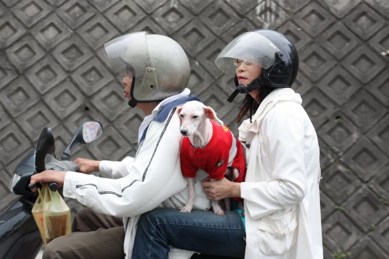 Scooting Around Taiwan