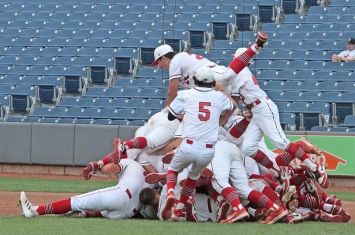 Seventh-inning craziness ends with Hawks taking state title