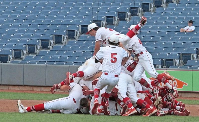 Seventh-inning craziness ends with Hawks taking state title