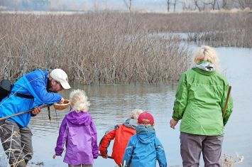 Shreve Migration Sensation for birding community, community at large