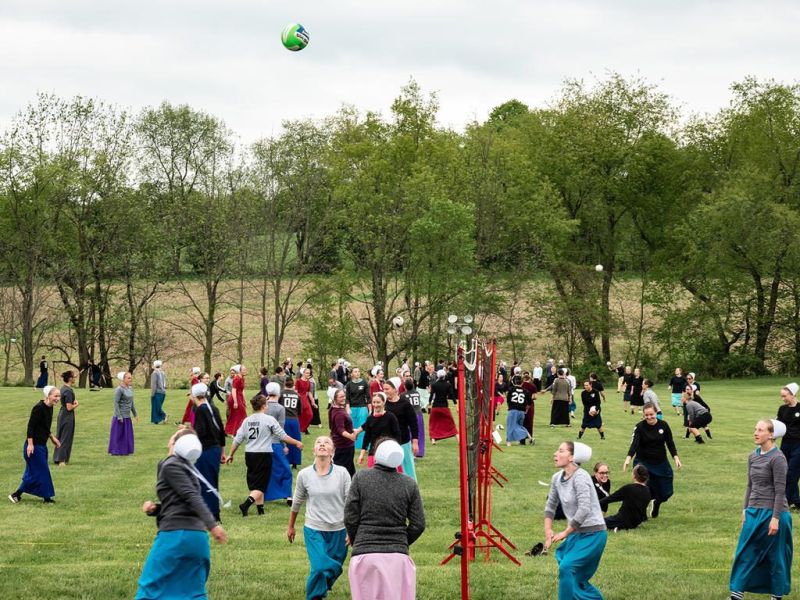 Board of DD hosting spring festival May 12-13