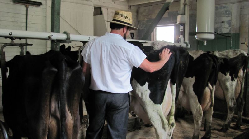 Summary: One of the most loved products created by milk is cheese. And in this region of Ohio, Swiss cheese reigns as the number one favorite.