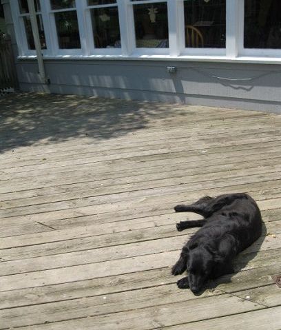 Summertime...hit the deck