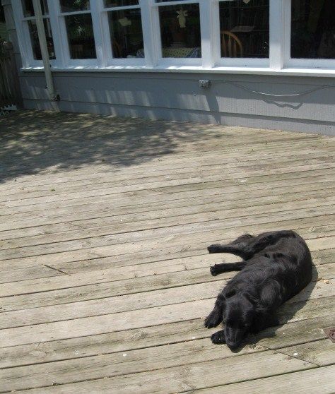 Summertime...hit the deck!