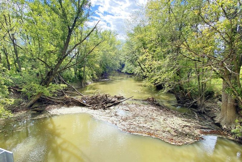 SWCD begins Killbuck Creek log jam clean-up project