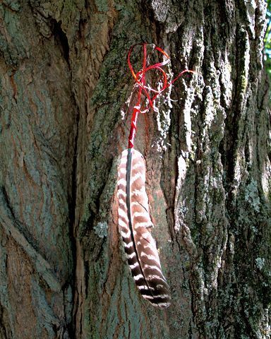 The Delaware Indians of Holmes County
