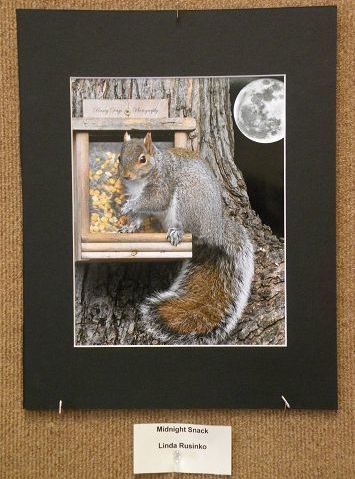 Through the lens of the Wooster Camera Club