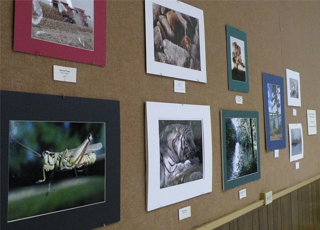 Through the lens of the Wooster Camera Club