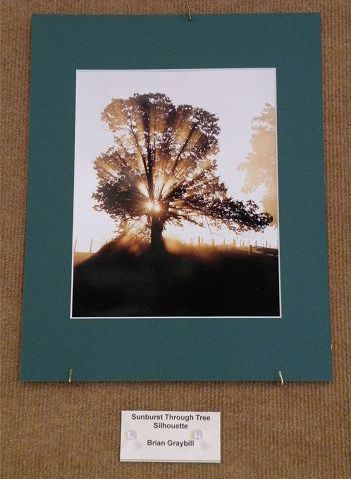 Through the lens of the Wooster Camera Club