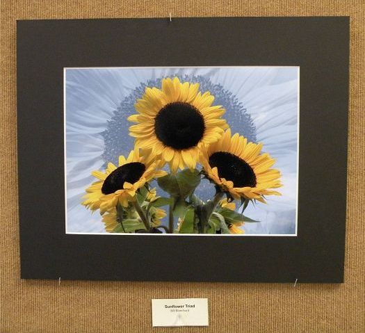 Through the lens of the Wooster Camera Club