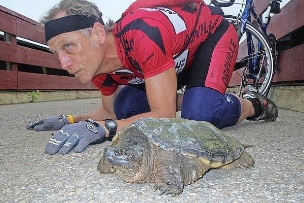 Turtle saver seeks to set the story straight