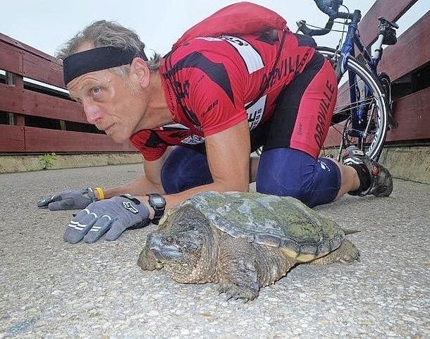 Turtle saver seeks to set the story straight