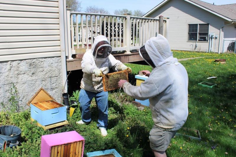 Tuscarawas County Beekeepers Plan Workshop At… | The Bargain Hunter