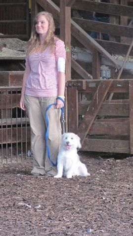 Tuscarawas County Junior Fair Dog Show winners announced
