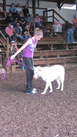 Tuscarawas County Junior Fair Dog Show winners announced