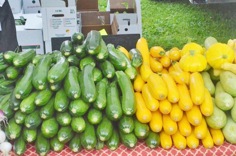 TVFM receives grant funding for Produce Perks program