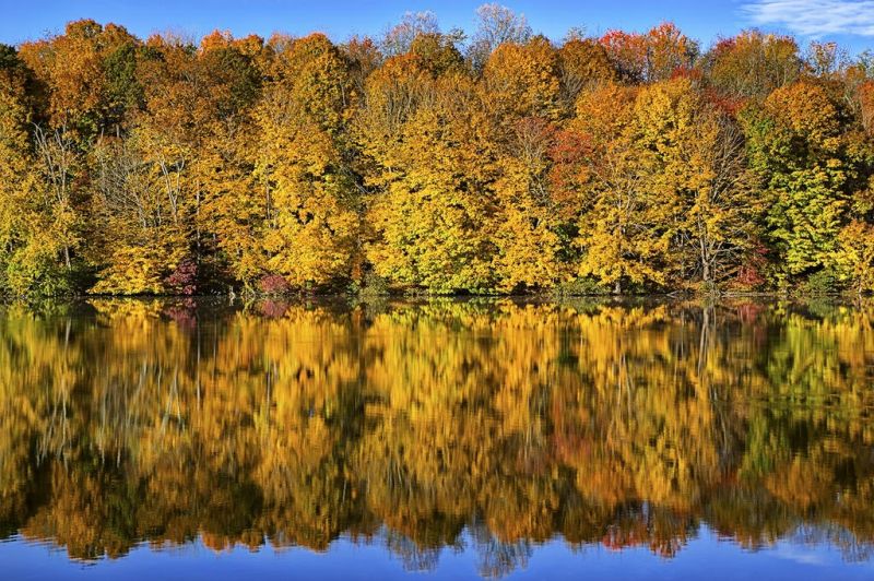 TWC’s Nature Photo Club free program open to all