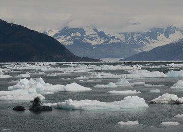 Valdez, Alaska has lots of glaciers, snowy peaks, and birds