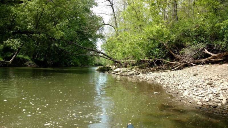 Watershed summer meeting to be held at Fry Family Park