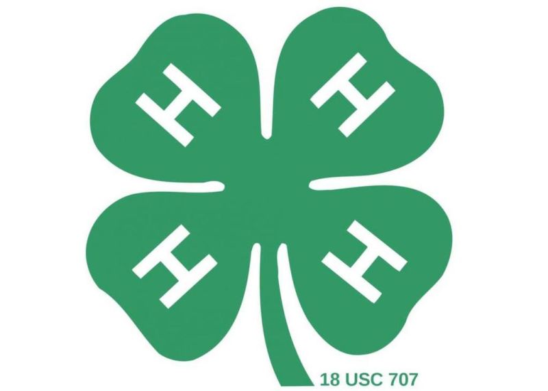 Wayne 4-H info night March 6