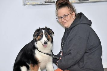 Wayne County Dog Shelter offers chance to make a difference