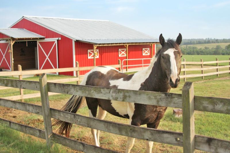 West Nile virus confirmed in Wayne County horses