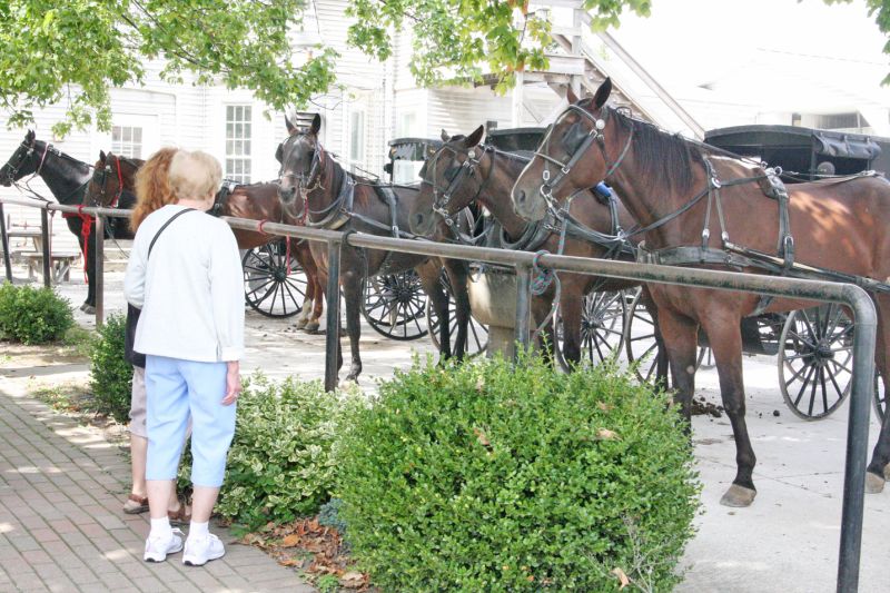 Winesburg Fall Gathering is touching and… The Bargain Hunter