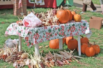 Winesburg Fall Gathering set to celebrate its 30th year