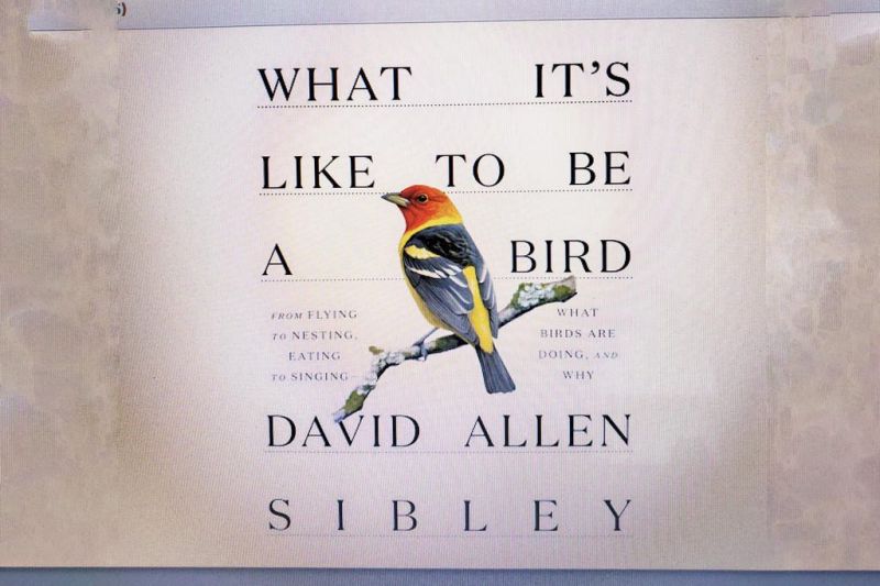 With new book, Sibley does it again