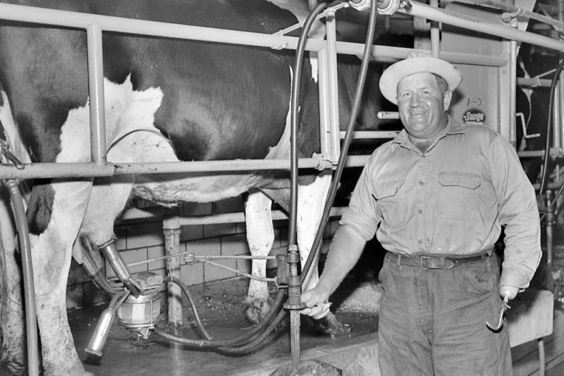 Workshop focus is daily life for dairy farmers