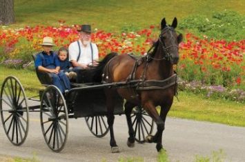 Ohio's Amish Country Magazine